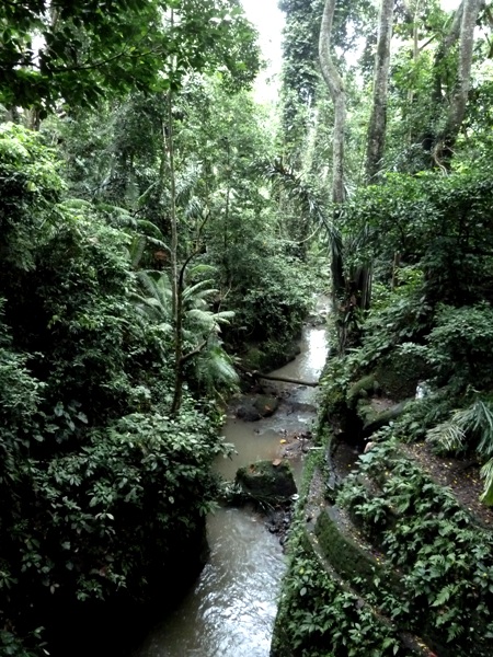 Can you say lush? The Sacred Monkey Forest Sanctuary, Ubud, Bali. Can you say lush? The Sacred Monkey Forest Sanctuary, Ubud, Bali.