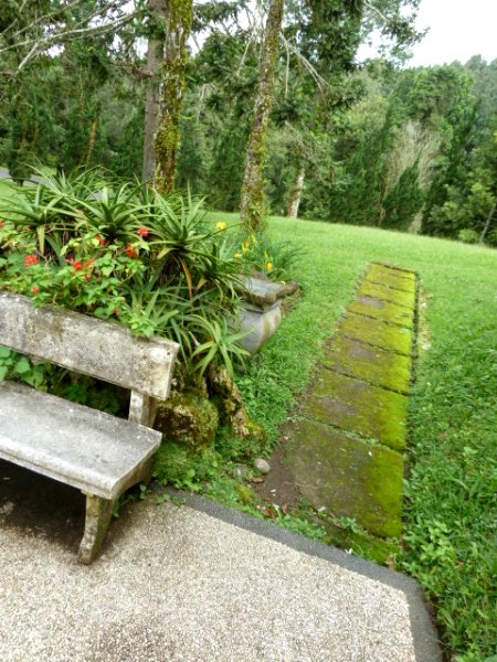The path to nowhere. Bali Botanical Gardens in Candikuning, Bali.