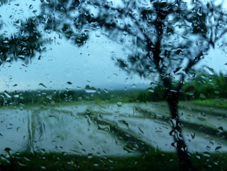 A rainy rice field in Western Bali. A rainy rice field in Western Bali.