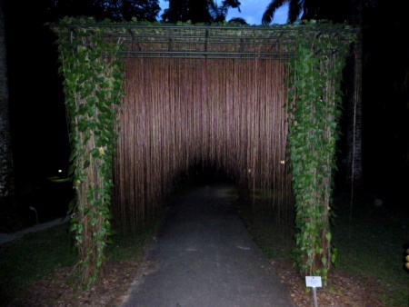 You've heard of a car wash. Well, this is a human wash. Singapore Botanic Gardens. You've heard of a car wash. Well, this is a human wash. Singapore Botanic Gardens.
