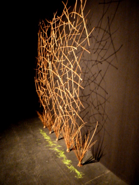 An assemblage of twigs in the Black Box at Fort Canning, Singapore.