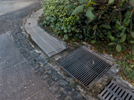 Frogs croak up a big drone down inside a drainage culvert in Fort Canning, Singapore.