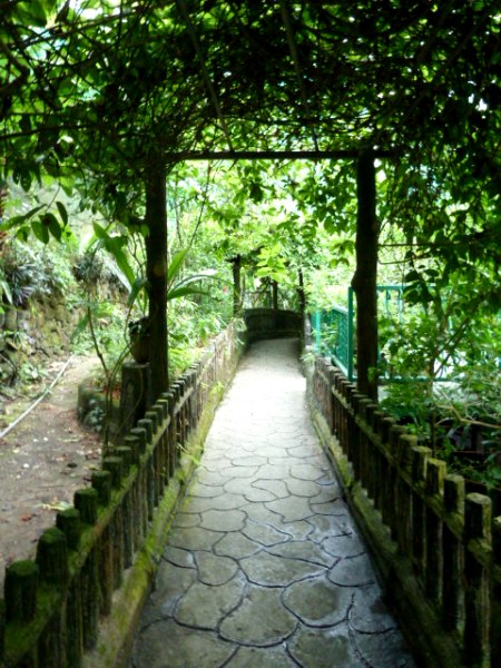 A shady, scenic walk at Taman Rama Rama in Kuala Lumpur, Malaysia. A shady, scenic walk at Taman Rama Rama in Kuala Lumpur, Malaysia.