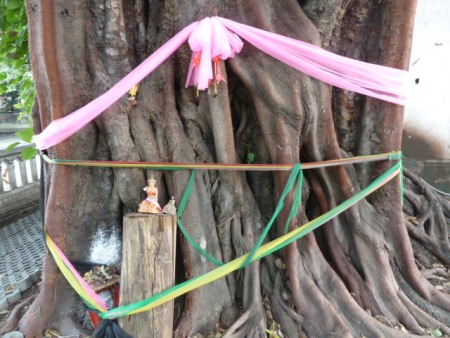 A makeshift tree shrine in Bangkok, Thailand. A makeshift tree shrine in Bangkok, Thailand.