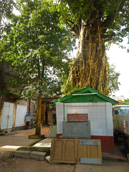A golden tree at a small Buddhist shrine in Yangon, Myanmar.