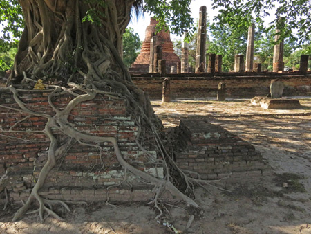 Tree roots claim some ruins at Wat Mang Kon in Sukothai, Thailand.