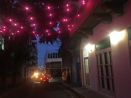 A magenta-sprinkled back street in Casco Viejo, Panama City, Panama.
