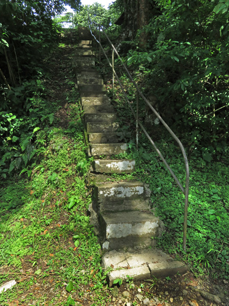 Stairway to Heaven, or at least the tip top of the highest hill at the Parque Natural Metropolitano in Panama City, Panama.