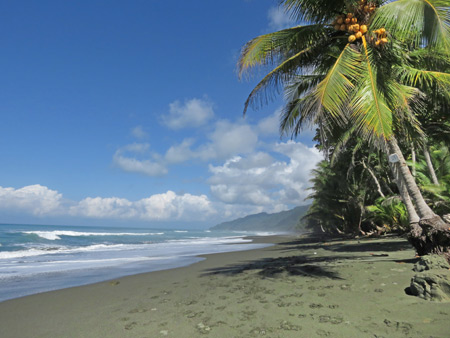 The rugged Pacific coast on the Osa Peninsula, Costa Rica.