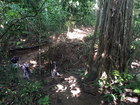 Scenic hiking through a ravine on the Osa Peninsula, Costa Rica.