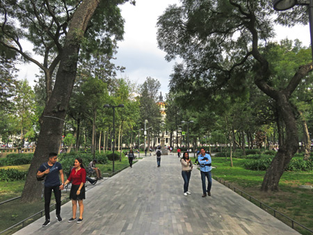 The serene pathways of Alameda Park in Mexico City, Mexico.