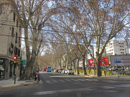 The gorgeous tree-lined streets of Mendoza, Argentina.