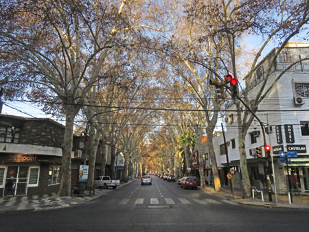The gorgeous tree-lined streets of Mendoza, Argentina.
