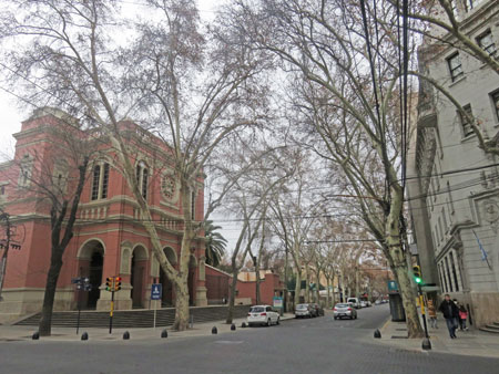 Another lovely tree-lined street in Mendoza, Argentina.