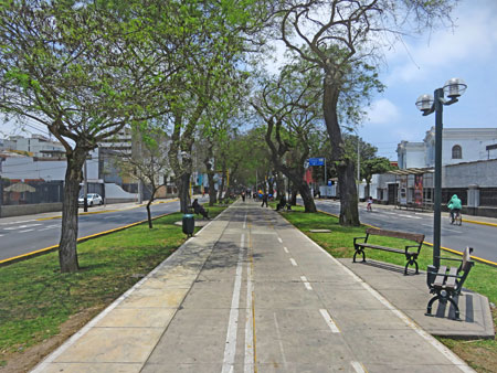 Looking north up the median on Avenida Arequipa in Lima, Peru.