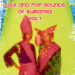 Folk & Pop Sounds of Sumatra