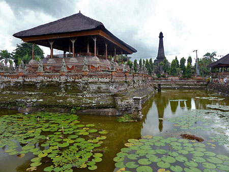 A lily pad pool in Klungkung, Bali.