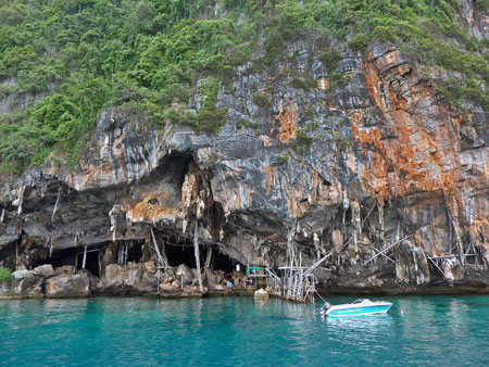 Workers mine bird nests for Chinese medicinal soup in Viking Cave on Ko Phi Phi Leh, Thailand.