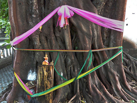 A makeshift tree shrine in Bangkok, Thailand.
