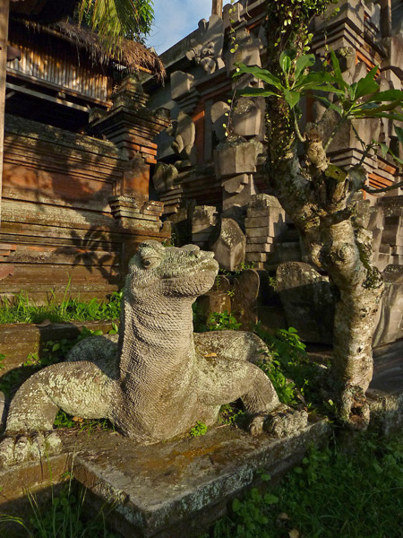 The king of the lizards in Ubud, Bali, Indonesia.