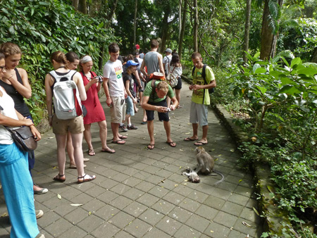 The tourist hordes in the Sacred Monkey Forest Sanctuary in Ubud, Bali, Indonesia.