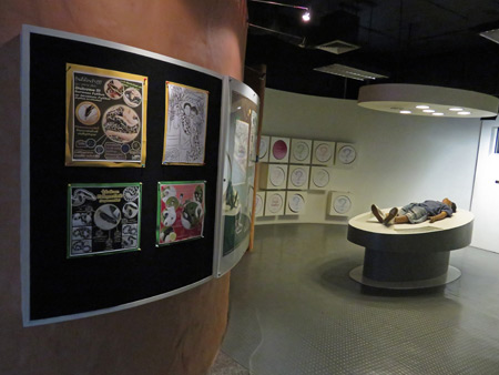 A museum display at the Queen Saovabha Institute Snake Farm in Silom, Bangkok, Thailand.