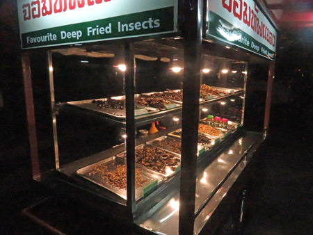 An insect cart at a night market in Phitsanulok, Thailand.