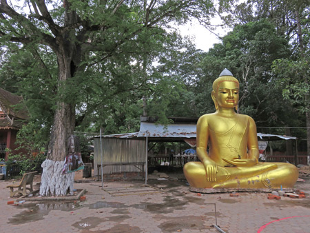 A Buddha image at Wat Preah An Kau Sai in Siem Reap, Cambodia.