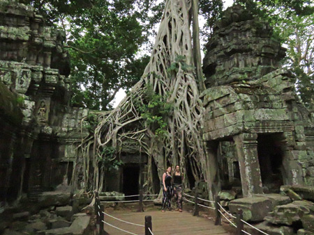 A picturesque scene at Ta Prohm, Angkor in Siem Reap, Cambodia.