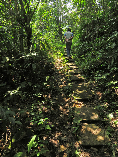 Hiking through a jungle toward the Rafflesia flower north of Bukittinggi, Sumatra, Indonesia.