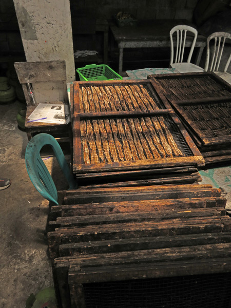 Banana chips drying on a rack in Kiniko, near Bukittinggi, Sumatra, Indonesia.