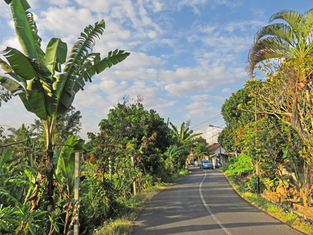 On the road from Ubud to Bentuyung, Bali, Indonesia.