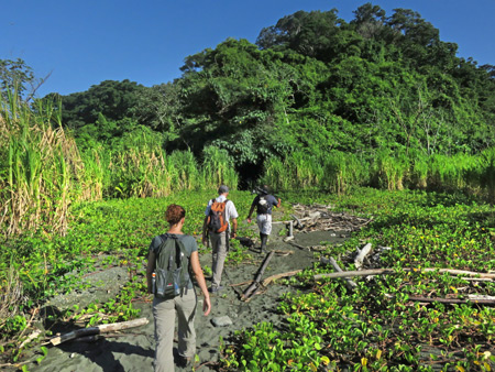 Heading into the jungle on the Osa Peninsula, Costa Rica.