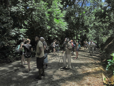 A sizable crowd on the main trail at Manuel Antonio National Park, Costa Rica.