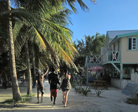 A trio roams free in Caye Caulker, Belize.