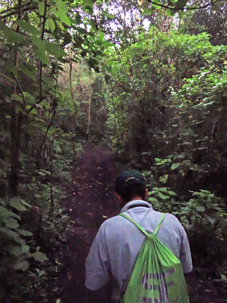 Our guide, Samuel, leads us up a trail to Pacaya volcano in Guatemala.