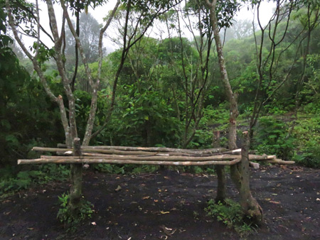 A rustic bench on the side of a trail leading up to Pacaya volcano in Guatemala.