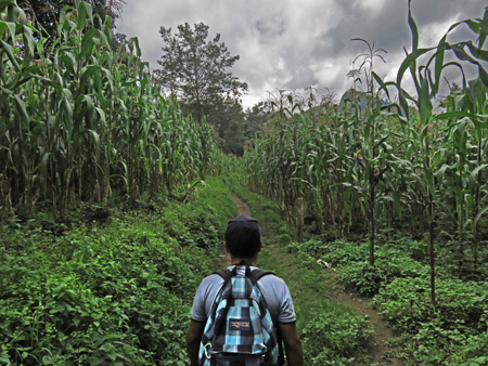Asoantour guide Armando leads the way through some cornfields toward Indian's Nose at Lago de Atitlan, Guatemala.
