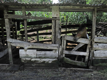 Moises' stables in San Pedro, Lago de Atitlan, Guatemala.