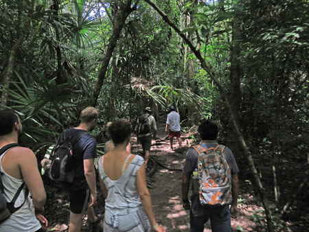 Walking through the jungle toward Temple IV at Tikal, Guatemala.