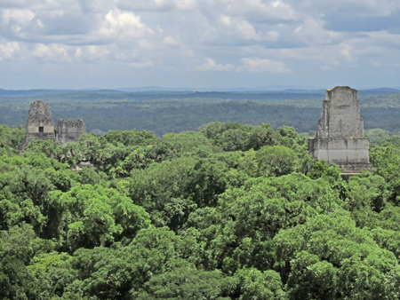 A close-up of Temples I and II jutting up out of the jungle at Tikal, Guatemala.