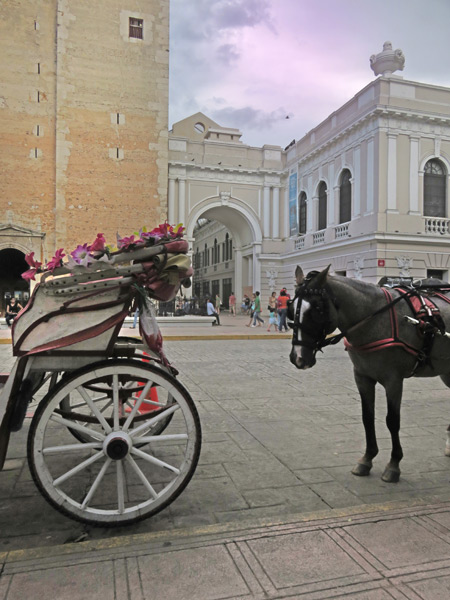A horse-drawn carriage in Merida, Mexico.