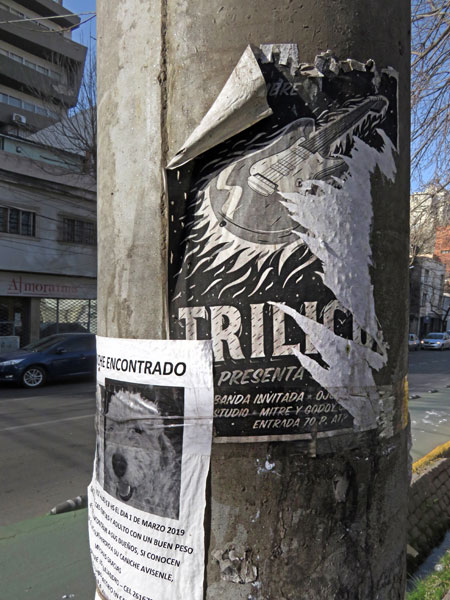 A torn flyer in Mendoza, Argentina.