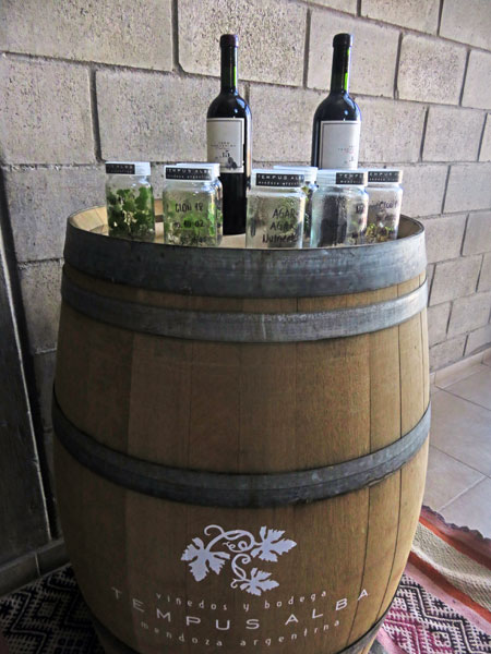 Bottles of wine on display at Bodega Tempus Alba in Maipu, near Mendoza Argentina.