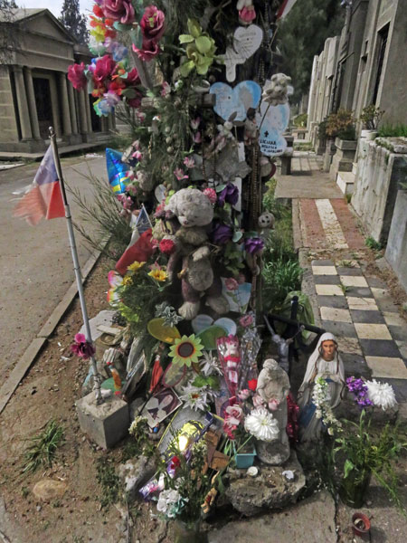 A flowery tribute on a tree at the Cementerio General de Santiago, Chile.
