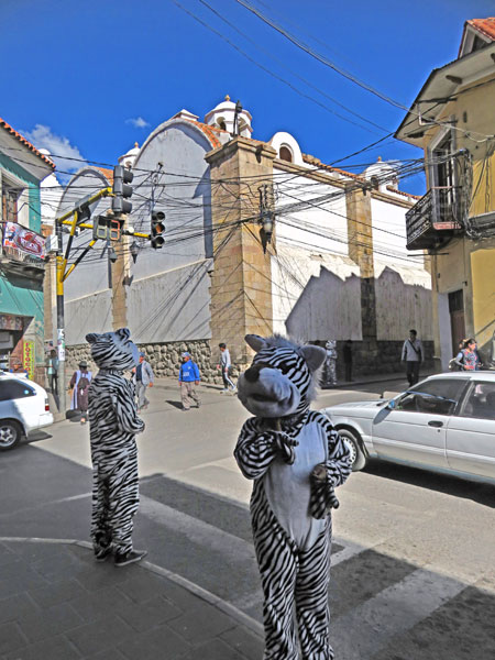 Tigers on the loose in Potosi, Bolivia.