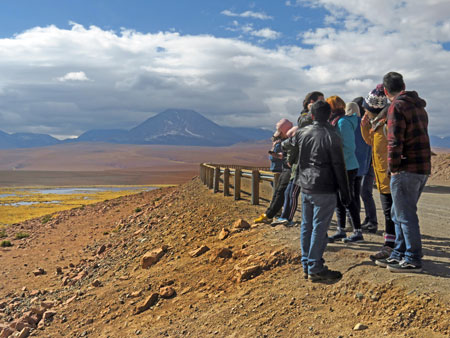 A group of very social bipedal mammals congregates at a scenic overlook in the Andes Mountains, Chile.