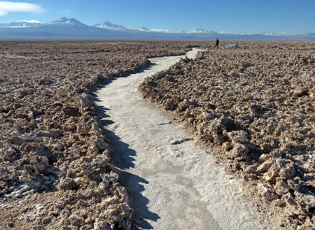 Stay on the path at the Salar de Atacama, Chile.