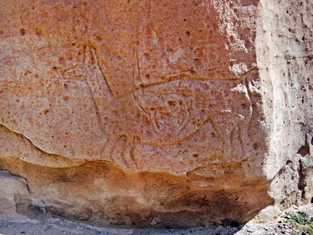 A carving of a llama on a rock wall in the Valle de Arcoiris, near San Pedro de Atacama, Chile.