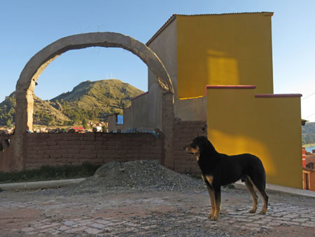 An arch and a dog in Copacabana, Bolivia.